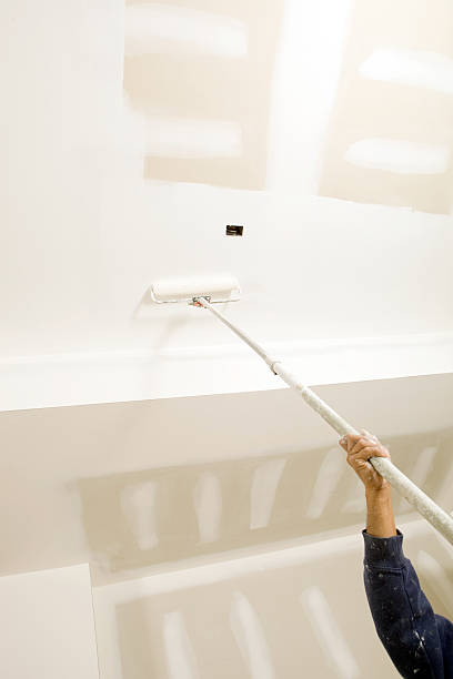 Best Post-Construction Mold Inspection  in Lonoke, AR